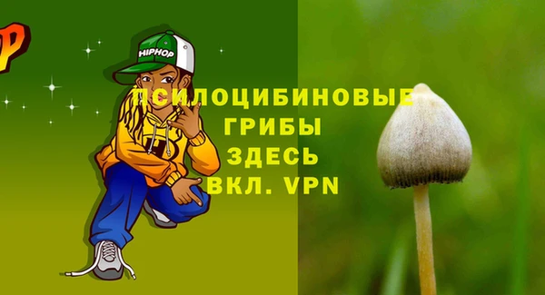 альфа пвп Беломорск