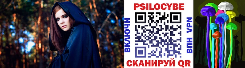 где можно купить Краснокамск Псилоцибиновые грибы Cubensis